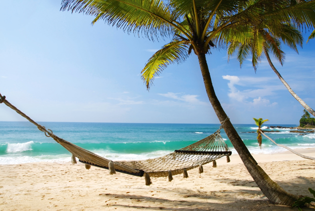 Cozy hammock and palm trees at Maldives